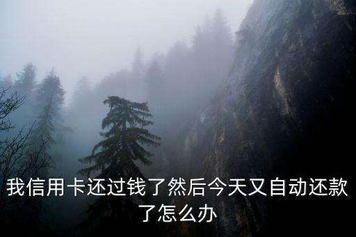我信用卡還過錢了然后今天又自動還款了怎么辦