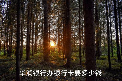 華潤(rùn)銀行辦銀行卡要多少錢