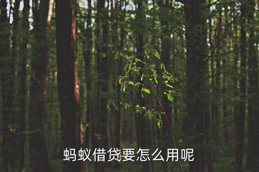 螞蟻借貸要怎么用呢