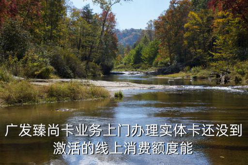 廣發(fā)臻尚卡業(yè)務(wù)上門(mén)辦理實(shí)體卡還沒(méi)到激活的線上消費(fèi)額度能