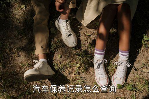 車輛保險記錄怎么查詢，汽車保養(yǎng)記錄怎么查詢