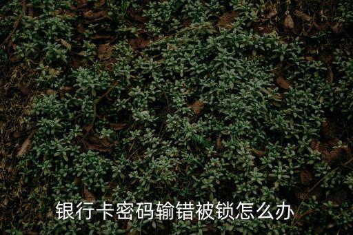 銀行卡密碼輸錯被鎖怎么辦