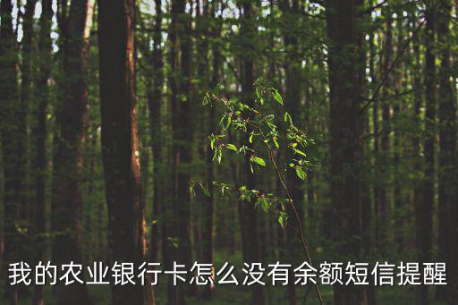 我的農(nóng)業(yè)銀行卡怎么沒有余額短信提醒