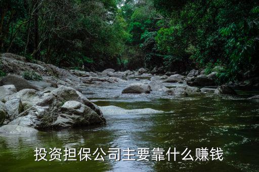 車貸擔保公司怎么掙錢，擔保公司是如何贏利的
