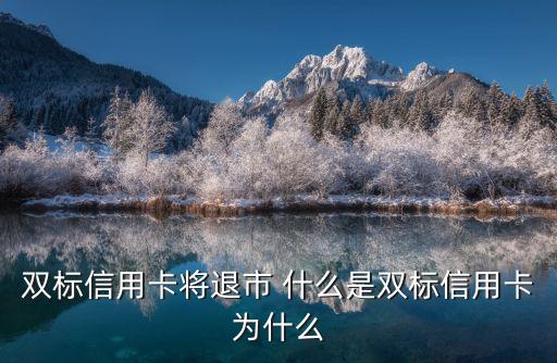 單標(biāo)卡和雙標(biāo)卡怎么看，雙標(biāo)卡將退出歷史真的假的 雙標(biāo)卡和單標(biāo)卡的區(qū)別