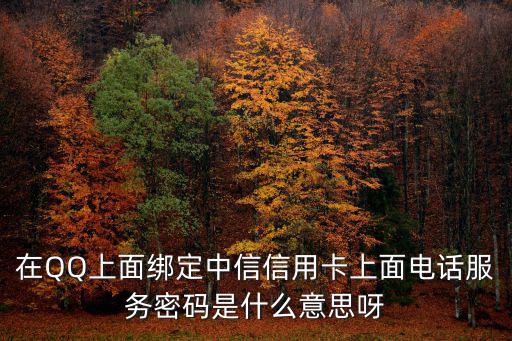 中信信用卡怎么登錄密碼是什么意思，信用卡登錄密碼是什么