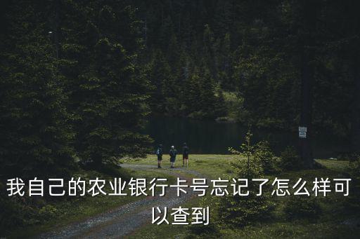 我自己的農(nóng)業(yè)銀行卡號忘記了怎么樣可以查到