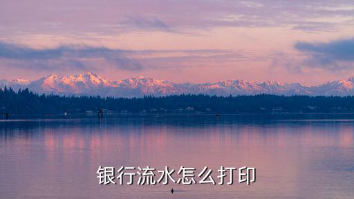 銀行流水怎么打印