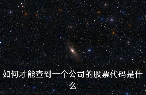 如何才能查到一個公司的股票代碼是什么