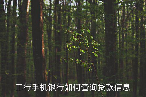 怎么查詢工商貸款進(jìn)度查詢，通過(guò)工商銀行網(wǎng)上銀行如何查詢貸款信息