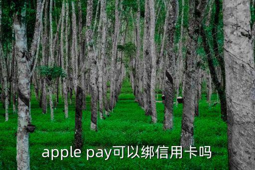 apple pay可以綁信用卡嗎