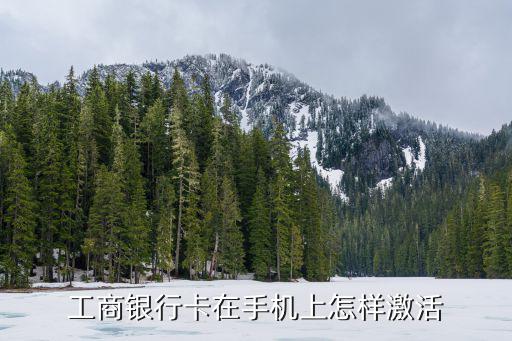 建行在工行信用卡怎么激活，信用卡怎么激活