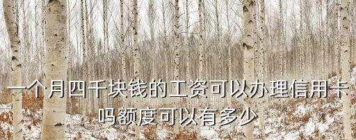 一個(gè)月四千塊錢的工資可以辦理信用卡嗎額度可以有多少