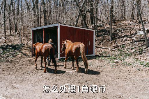 怎么處理1角硬幣