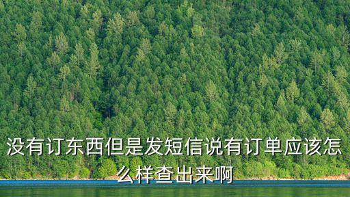 在建行沒有訂單但發(fā)來訂單怎么辦，你好我買了一樣?xùn)|西它說已發(fā)貨但是我沒有把它存在訂單里