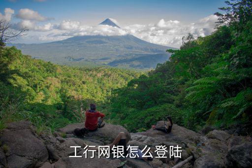 工行網(wǎng)銀怎么登陸