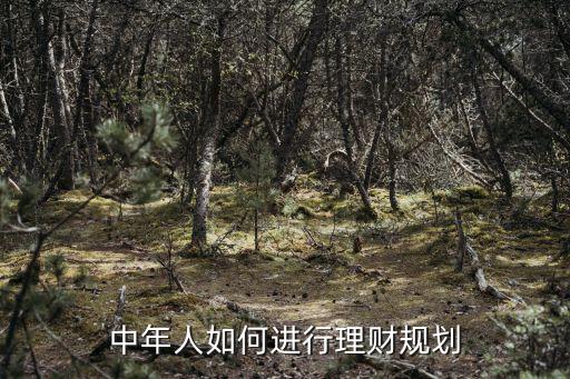 中年人如何進行理財規(guī)劃