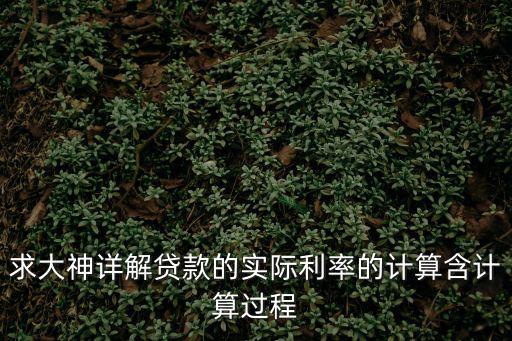 求大神詳解貸款的實(shí)際利率的計(jì)算含計(jì)算過(guò)程