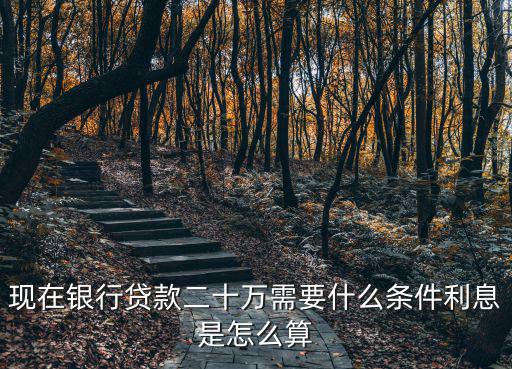 向銀行貸20萬怎么貸款利率，向銀行貸款20萬怎么貸利息怎么算