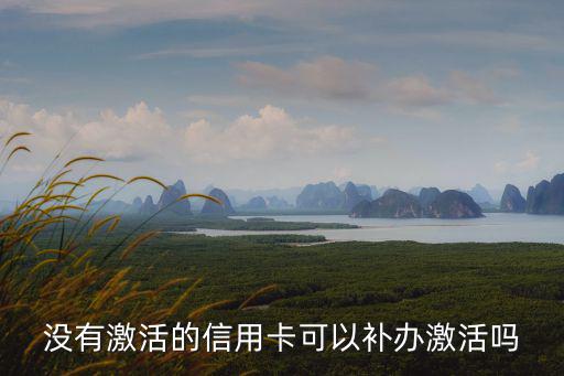 沒有激活的信用卡可以補辦激活嗎