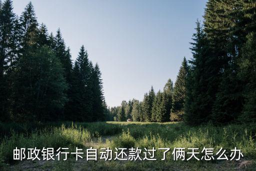 郵政銀行卡自動還款過了倆天怎么辦