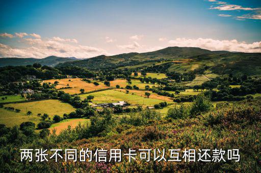 一個銀行兩張信用卡怎么還款嗎，兩張不同的信用卡可以互相還款嗎