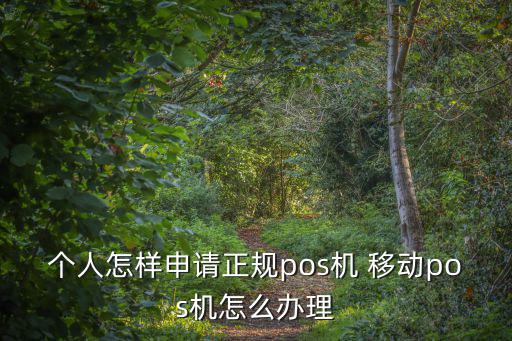 個人怎樣申請正規(guī)pos機 移動pos機怎么辦理