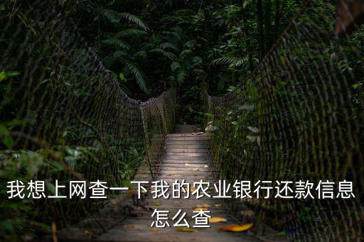 我想上網(wǎng)查一下我的農(nóng)業(yè)銀行還款信息怎么查