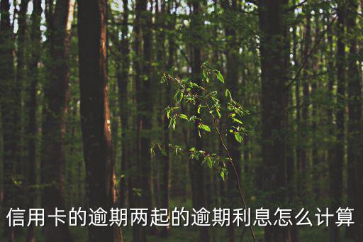 信用卡的逾期兩起的逾期利息怎么計算