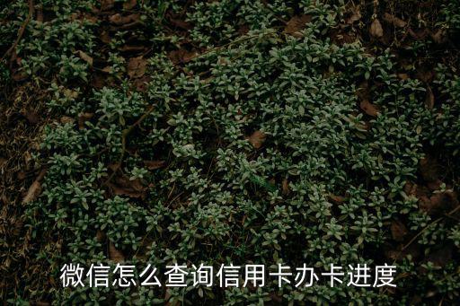 微信怎么查辦卡進度，微信申請信用卡怎樣查看進度