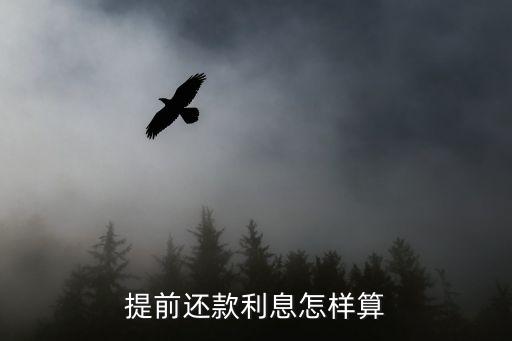 提前還款利息怎樣算