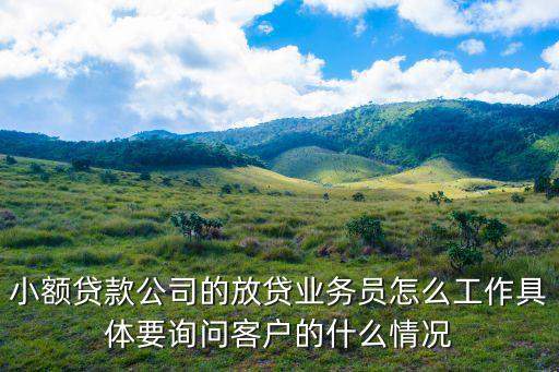 小額貸款公司的放貸業(yè)務(wù)員怎么工作具體要詢問(wèn)客戶的什么情況