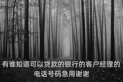 有誰知道可以貸款的銀行的客戶經(jīng)理的電話號碼急用謝謝