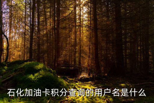 油卡怎么查用戶名，請(qǐng)問刷卡機(jī)上可以看到該卡的用戶名嗎