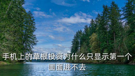 手機(jī)上的草根投資為什么只顯示第一個(gè)畫(huà)面進(jìn)不去