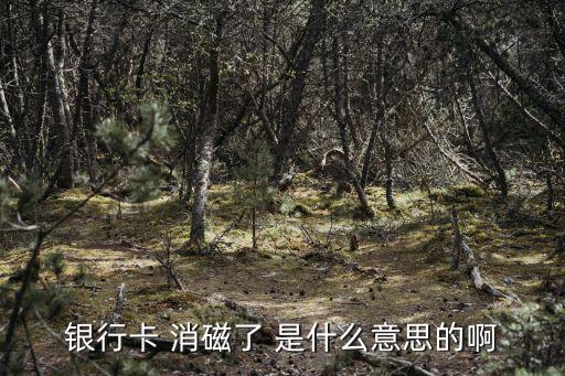 銀行卡 消磁了 是什么意思的啊