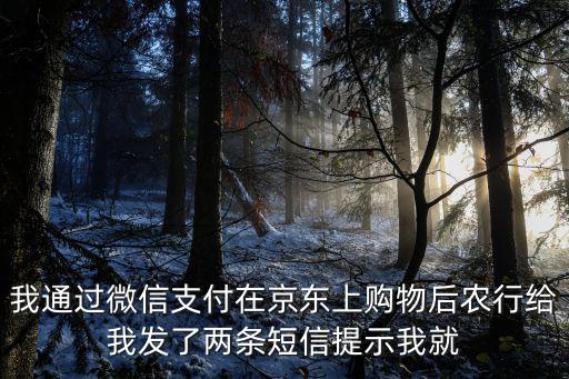 微信農(nóng)行沒信息怎么辦理，我通過(guò)微信支付在京東上購(gòu)物后農(nóng)行給我發(fā)了兩條短信提示我就