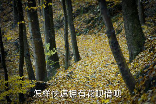怎么快速開通借唄，支付寶借唄怎么開通