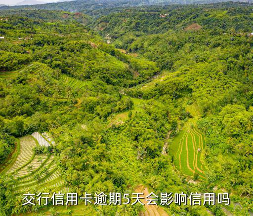 信用卡俞期5天會怎么樣，信用卡逾期5天會不會有不良記錄