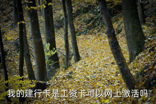建行在工行信用卡怎么激活嗎，建設(shè)銀行的信用卡能在手機(jī)上激活嗎