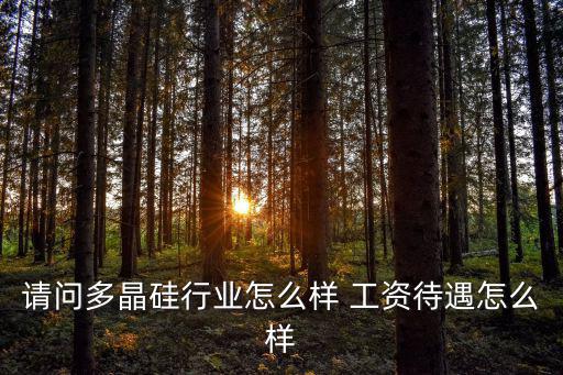 摩爾龍工資待遇怎么樣，請(qǐng)問(wèn)多晶硅行業(yè)怎么樣 工資待遇怎么樣