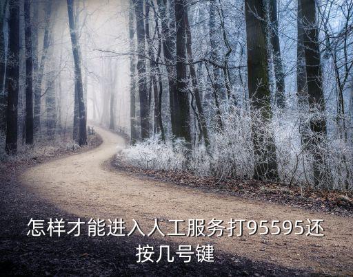 怎樣才能進(jìn)入人工服務(wù)打95595還按幾號(hào)鍵