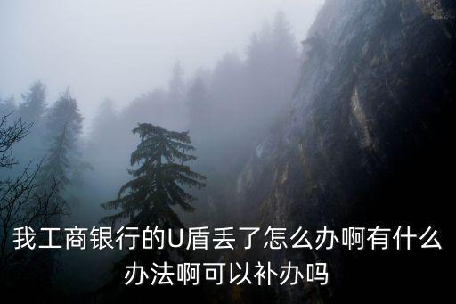 工商卡u盾掉了怎么辦理嗎，工商銀行的卡和u盾丟了咋辦