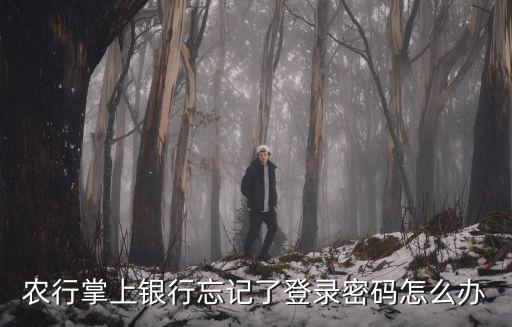 農(nóng)行掌上銀行忘記了登錄密碼怎么辦