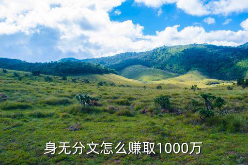 怎么快速賺到1000萬(wàn)，身無分文怎么賺取1000萬(wàn)