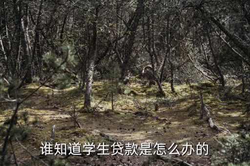 學(xué)生貸款應(yīng)該怎么辦，誰知道學(xué)生貸款是怎么辦的
