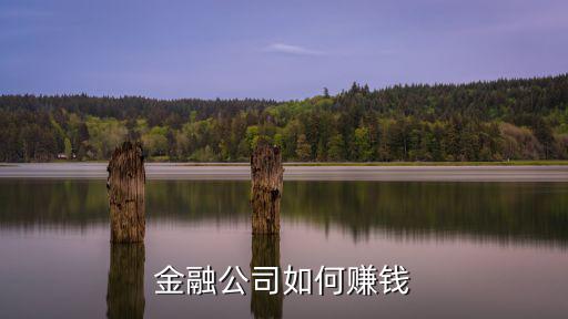 金融公司如何賺錢