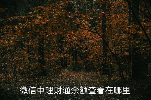 微信中理財(cái)通余額查看在哪里