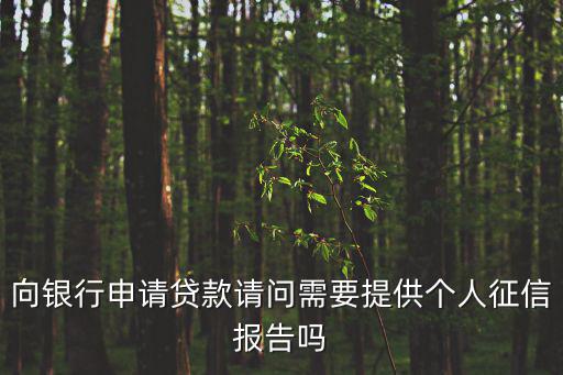 向銀行申請貸款請問需要提供個人征信報告嗎