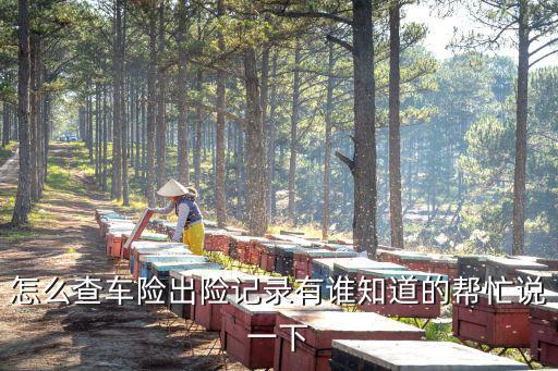 怎么查車險(xiǎn)出險(xiǎn)記錄有誰(shuí)知道的幫忙說(shuō)一下
